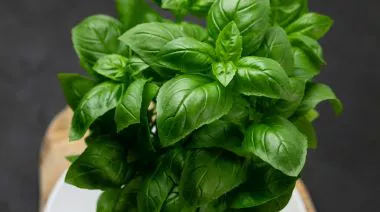 garnishing-instructions-image